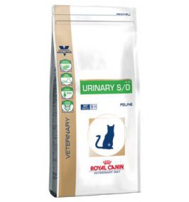 Royal Canin Urinary S/O cho mèo
